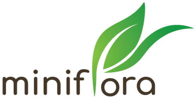 MiniFlora Landscape