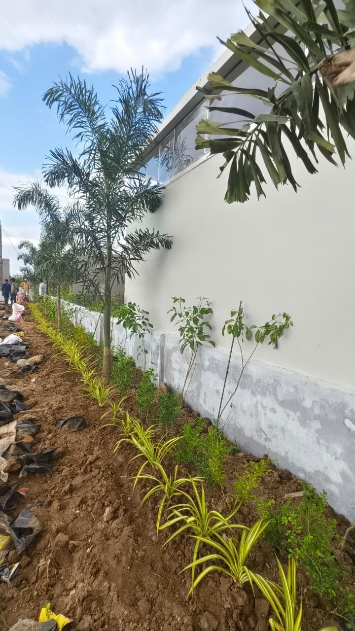 Villa Garden Development