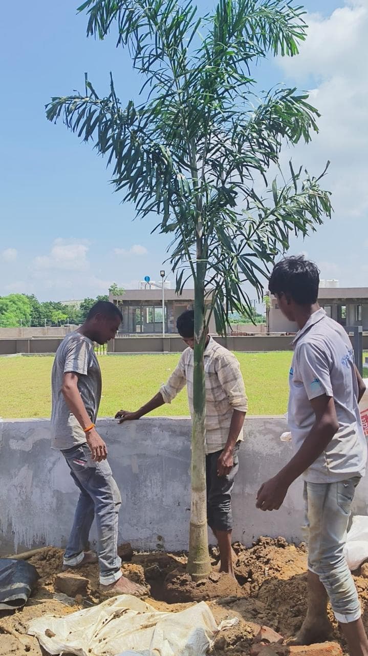 Housing Society Green Belt