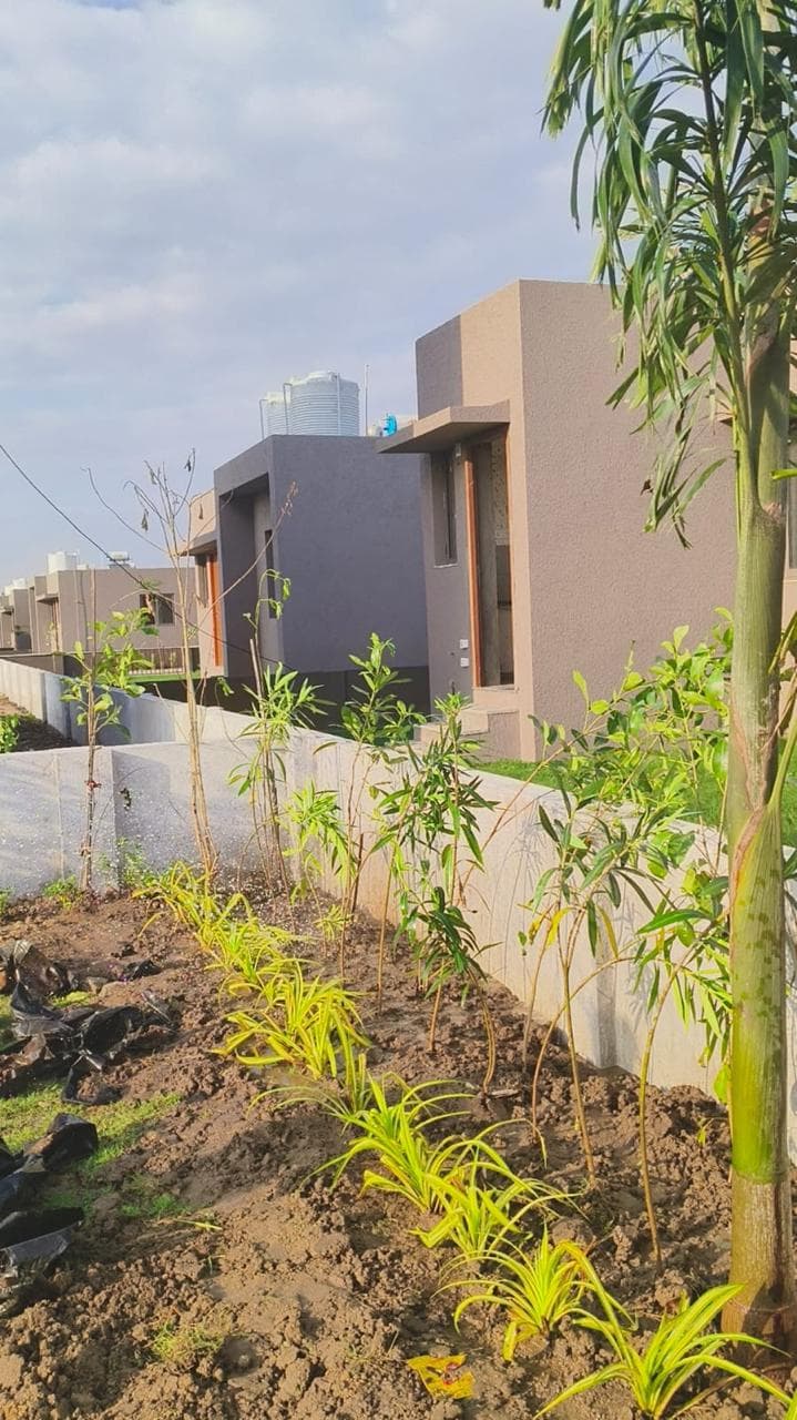 Modern Villa Boundary Landscaping