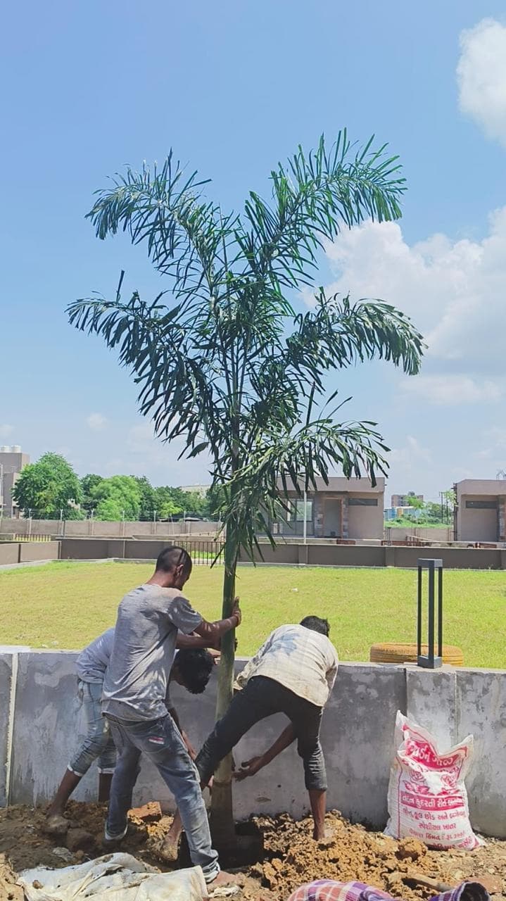 Township Landscape Development